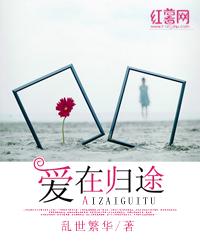 爱在归途