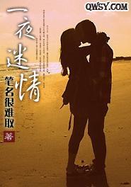 一夜迷情
