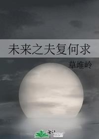 未来之夫父何