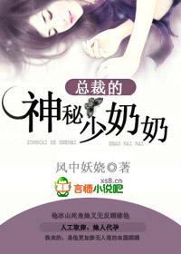 总裁的神秘少奶奶
