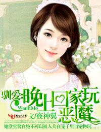 驯爱，晚上回家玩恶魔