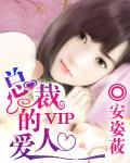 总裁的vip爱人