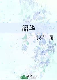 韶华
