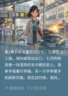 重逢初恋网约车司机，我带四娃逆风翻盘
